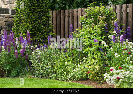 Schöne, private, traditionelle, Landschaftsgarten, Country Garden, West Yorkshire, England, UK-Sommer blühende Pflanzen in Nahaufnahme im Staudenbeet. Stockfoto