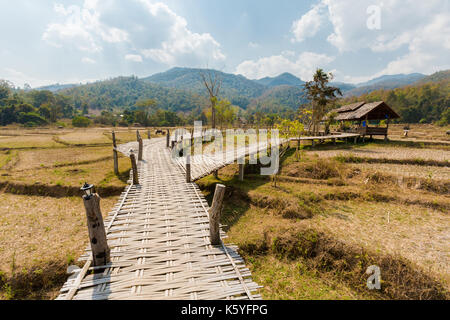 Büffel aus handgefertigtem lange Buddha Bambus Brücke über chemische Reisfeldern in der Nähe von touristischen Pai ich in Nord Thailand gesehen. Asiatische Landschaft mit Tieren du Stockfoto