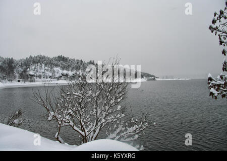 Blick auf oslofjord an einem kalten Wintertag Stockfoto