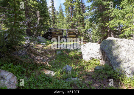 Verlassenen Hütte im heiligen Kreuz Wildnis, Colorado, USA. Stockfoto