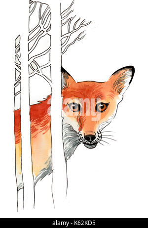 Fuchs im Wald Stockfoto