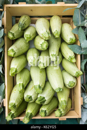 Zucchini (Calabacin in Spanisch) und Trauben auf dem Markt in Spanien. Stockfoto