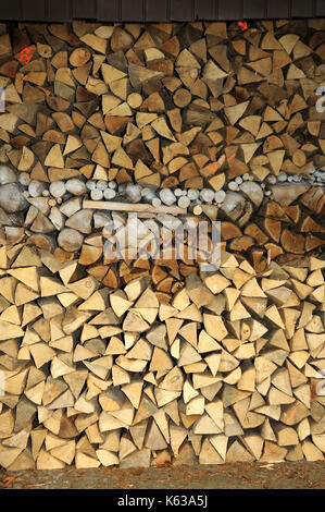 30W Solar-Gewächshaus-Heizung Set - Tragbare Powerstation Für Garten, Camping & Haustierhaus