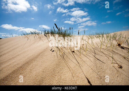 Sand dune mit etwas Gras und ein schöner blauer Himmel mit ein paar Wolken Stockfoto