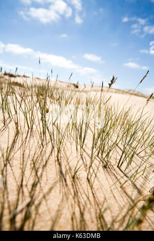 Sand dune mit etwas Gras und ein schöner blauer Himmel mit ein paar Wolken Stockfoto