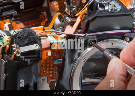 SLR-Kamera reparieren mit Schraubendreher Stockfoto