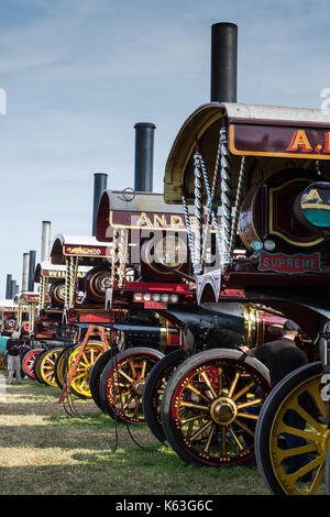 Line-up von Motoren der showman an der Great dorset Steam Fair, tarrant Hinton 2017 Stockfoto
