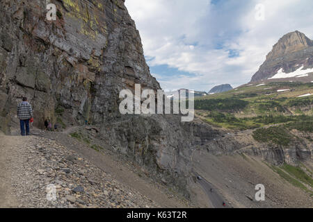 Das Highland Trail in der Nähe von Logan Pass im Glacier National Park, Montana, USA. Stockfoto