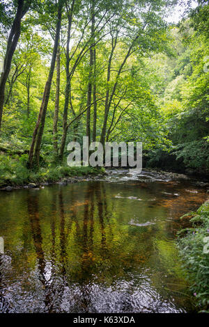 Osten Lyn Fluss fließt durch die Wälder. Stockfoto
