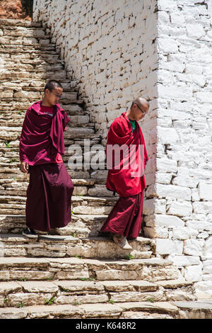 Buddhistische Mönche im heiligen Tempel, Bhutan Stockfoto