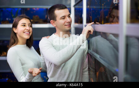 Positive junger Mann mit Freundin Auswahl Aquarium Fische im Aquarium Stockfoto