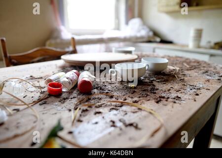 Riefensbeek, Deutschland. 31 Aug, 2017. Möbel in einem alten verrotteten Haus, Deutschland, Stadt Riefensbeek, 31. August 2017. Foto: Frank Mai | Nutzung weltweit/dpa/Alamy leben Nachrichten Stockfoto