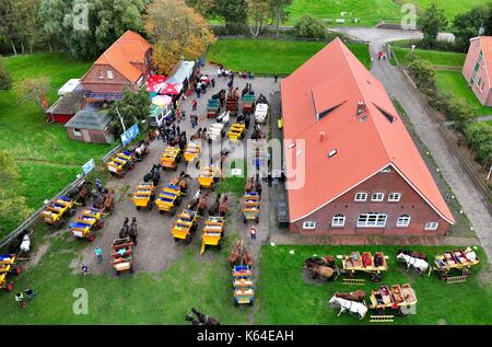 Pferd watt Wagen auf der Insel Neuwerk (Deutschland), 15. Oktober 2010 erstellt. Die Insel in der Mündung der Elbe ist der einzige deutsche Insel, die über Beförderung erreicht werden kann. | Verwendung weltweit Stockfoto