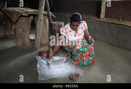 Sri Lanka - Januar 1, 2017: Eine lokale Frau mahlen Mehl in eine traditionelle Methode, bei der ein Dorf Safari in Sri Lanka Stockfoto