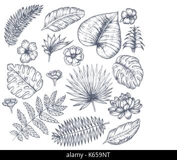 Tropischen Hintergrund mit tropischen Blättern und Blumen Stock Vektor