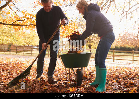 Reifes Paar Harken Blätter im Herbst im Garten Stockfoto