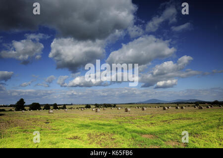 Dolnaslaskie, Landschaft, Polen, Reisen, Polska, Niederschlesien, Stockfoto