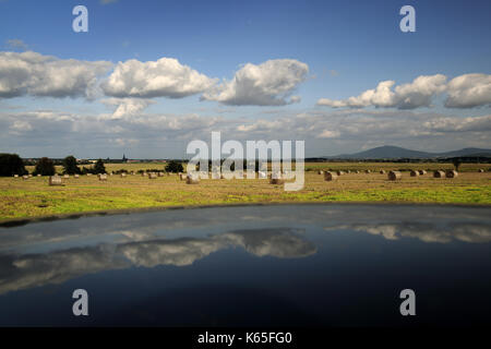 Dolnaslaskie, Landschaft, Polen, Reisen, Polska, Niederschlesien, Stockfoto