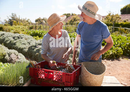 Reifes Paar Arbeiten über die Zuteilung zusammen Stockfoto