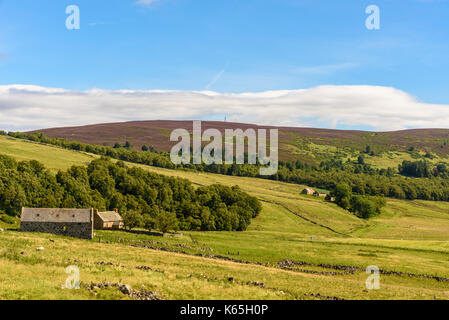 BRAEMAR, Schottland - August 10, 2017 - Ein verlassenes Gebäude entlang einer Straße im Cairngorms Nationalpark in Schottland. Stockfoto