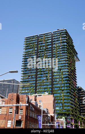 Ein zentraler Park Wohnhaus in Chippendale Sydney Australien ein preisgekröntes Green Building in Pflanzen Stockfoto