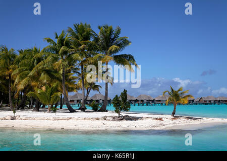 Kleine Halbinsel mit Kokosnuss Palmen im türkisblauen Meer, hinten Resort mit Bungalows am Wasser, Insel, Bora Bora, Gesellschaftsinseln Stockfoto