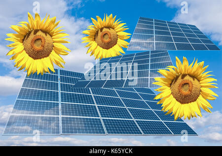 Sonnenblume mit Solar-panel Stockfotografie - Alamy