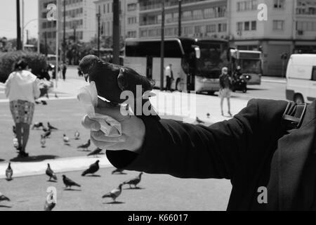 Athen, Griechenland - 22. APRIL 2015: Mann Fütterung Taube auf seinen Arm mit Samen am Syntagma Platz in der Innenstadt von Athen, Griechenland. Stockfoto