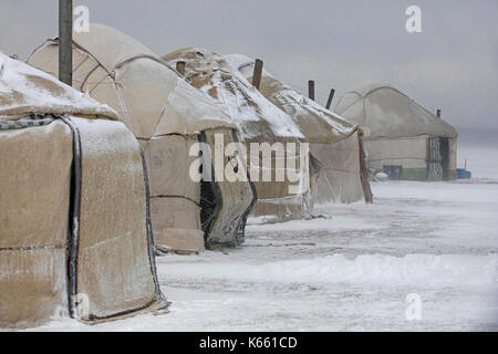 Jurten im traditionellen kirgisischen Jurtenlager während Schneesturm entlang des Song Kul / Song Kol Sees im Tian Shan Gebirge, Provinz Naryn, Kirgisistan Stockfoto