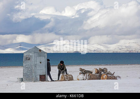 Kirgisische Männer schneiden Holz mit Kettensäge im Schnee entlang des Song Kul / Song Kol Sees im Tian Shan Gebirge, Provinz Naryn, Kirgisistan Stockfoto