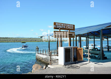 Insel SANTA CRUZ, Galápagos - Februar 20, 2017: Fähranleger. Die baltra Fähranleger Transporte Touristen auf der Itabaca Kanal auf die Insel. Stockfoto