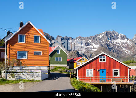 Typischen bunten Norwegische Architektur Holzhäuser in Henningsvær, Austvågøya Insel, Lofoten, Nordland, Norwegen, Skandinavien Stockfoto