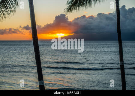 Die Sonne geht hinter zwei Palmen auf Maui, Hawaii. Stockfoto