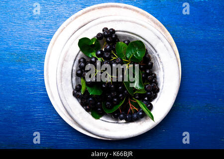Aronia in silber Metall Schüssel auf Blau Holz- Hintergrund. Aroniabeere mit Blatt. Ansicht von oben. Platz kopieren Stockfoto