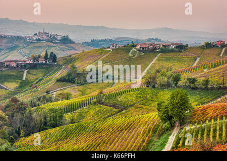 Diese Aufnahme wurde in den Langhe im Piemont, in der eine Welt-berühmten Gegend gemacht. Dies wird im Herbst, wenn die Reben auf wunderbare Farben nehmen Stockfoto