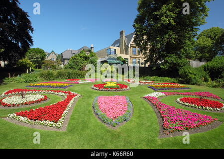 Viktorianische anlage Betten mit ringelblumen und Begonien in der Viktorianischen Garten an der Sheffield Botanischen Gärten, Sheffield, Yorkshire, England, Großbritannien - Sommer Stockfoto