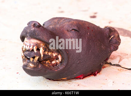 Hund am Markt in Indonesien, extreme Marktbedingungen, Sulawesi Stockfoto