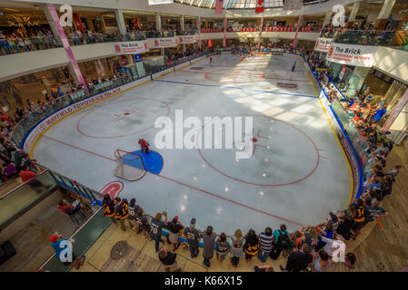 Ice Hockey Arena in der West Edmonton Mall. Stockfoto