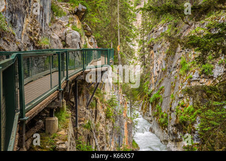 Gehweg in der Johnston Canyon, Bow Valley Parkway, Banff National Park, Kanada Stockfoto