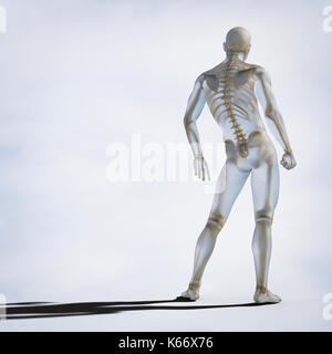 Skelett im Inneren transparent Mann Stockfoto