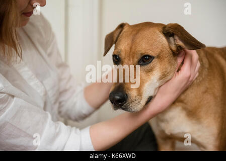 Kaukasische Frau umarmt Hund Stockfoto