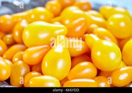 Sorten gelbe Heirloom Tomaten namens Yellow pear und Gelb datterino (oder Pflaume) Cherry Tomaten. Stockfoto