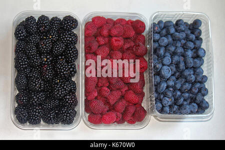 Frische organische Beeren Pfähle in Kunststoffbehältern Stockfoto