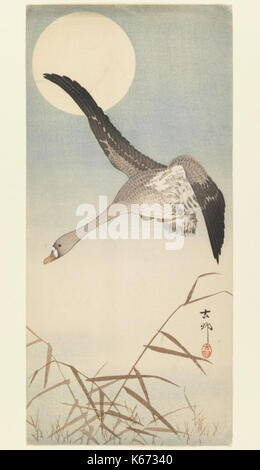 Brooklyn Museum Gans Fliegen in Moonlight Ohara Shoson 2 [Nächste >>] () Stockfoto