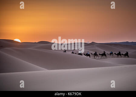 Kamel Zug zu Fuß durch die Wüste Sahara, Marokko Stockfoto