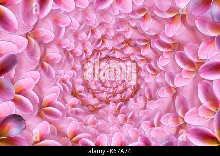 Abstrakte frangipani Blume montage Stockfoto