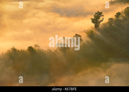 Nebel über Berge, Thailand Stockfoto