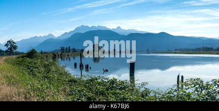 Golden Ears reichen von DeBouville Slough, Maple Ridge, British Columbia, Kanada gesehen Stockfoto