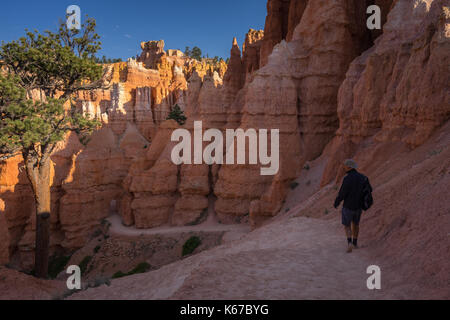 Mann Wandern entlang Queen's Garden Trail, Bryce Canyon National Park, Utah, USA Stockfoto