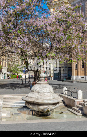 Fontana della Terrina an der Piazza della Chiesa Nuova, Rom, Latium, Italien, Europa. Stockfoto